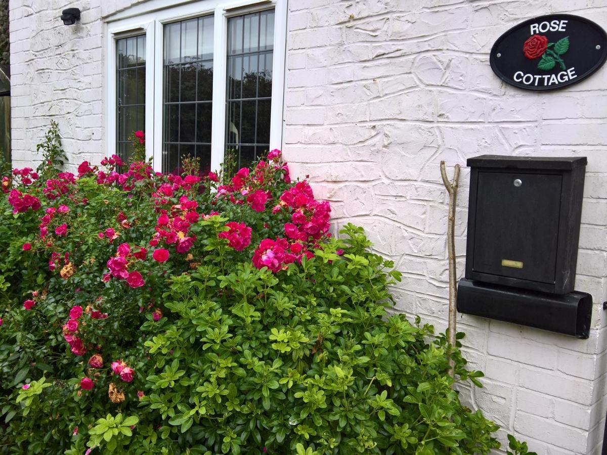 Rose Cottage شارد المظهر الخارجي الصورة